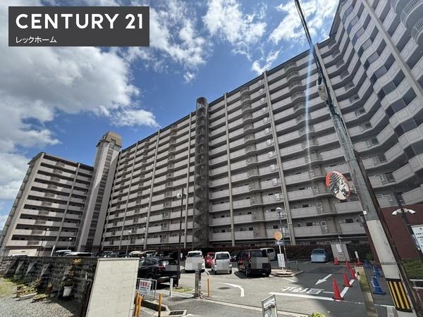 ���V���g�[���˃m��